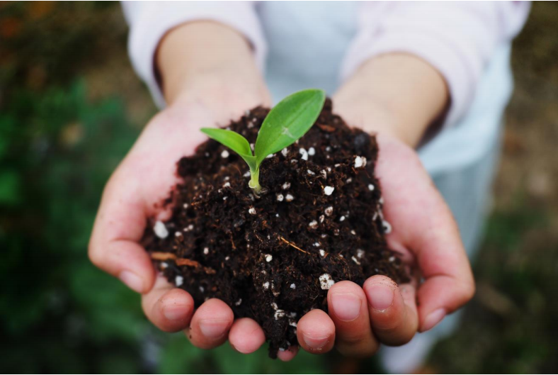 巴斯夫攜手彤程新材料集團(tuán)在中國合作生產(chǎn)經(jīng) 認(rèn) 證可堆 肥共聚酯 (PBAT)(圖2)