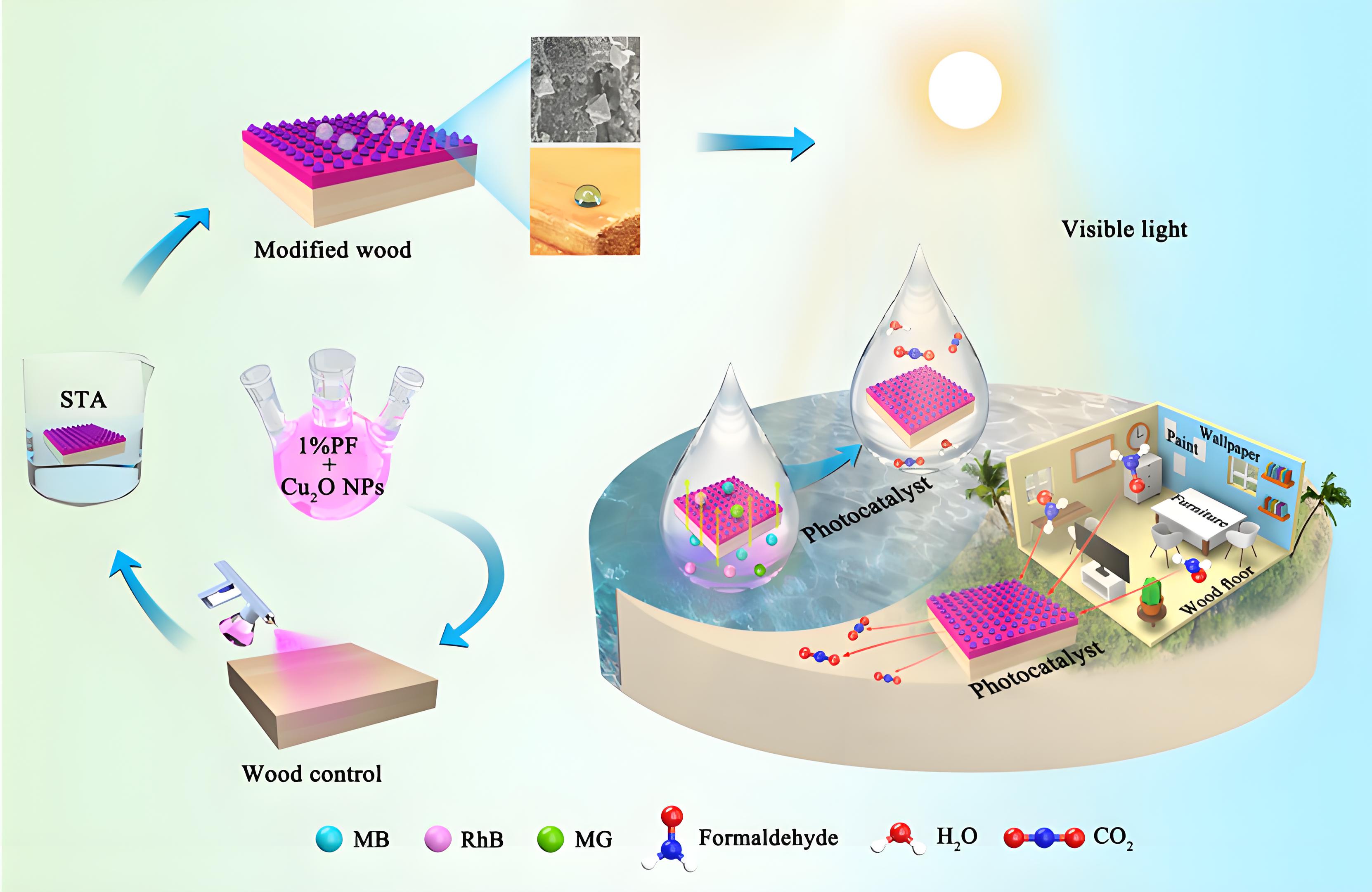 光降解和生物降解塑料袋區(qū)別？(圖1)