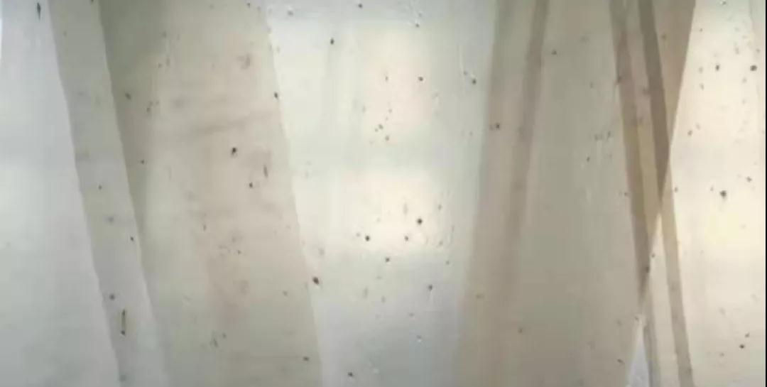 PBAT膜袋有黑點是什么原因？(圖1)